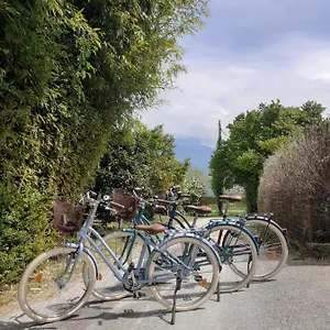 https://zoulysse-ii-entre-lac-dannecy-et-montagnes.hotels-rhonealpes.com